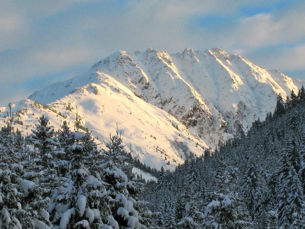Alpen Glueck Kirchberger Hof Kirchberg en Tyrol